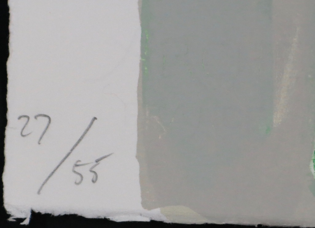 Cees Dolk: Zeefdruk, Figurenplan 2 kopen? Bied vanaf 1!