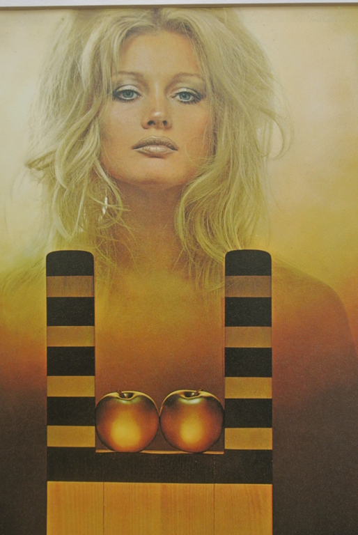  Sam Haskins. Prachtige Kleurenlitho van zijn werk uit 1972. kopen? Bied vanaf 45!
