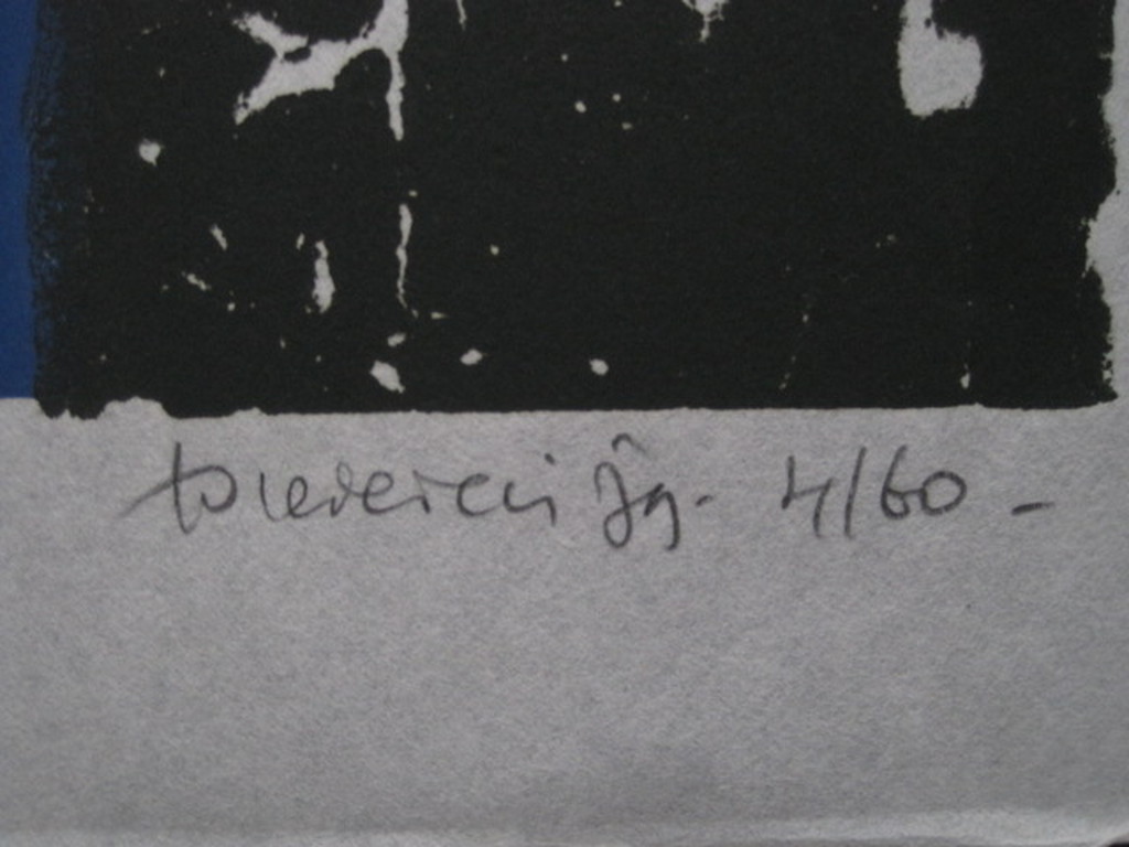 Amsterdamse Limburger" Jef Diederen  kleurenlitho "de Val" gesigneerd ca. 1970 kopen? Bied vanaf 1!