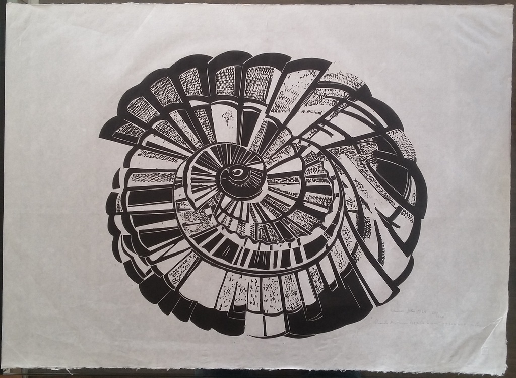 Eduard Flor: Linosnede, Ammoniet, Mesozoicum kopen? Bied vanaf 1!