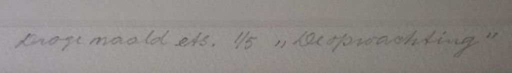 Jan van Helden: De opwachting, droge naaldets kopen? Bied vanaf 36!