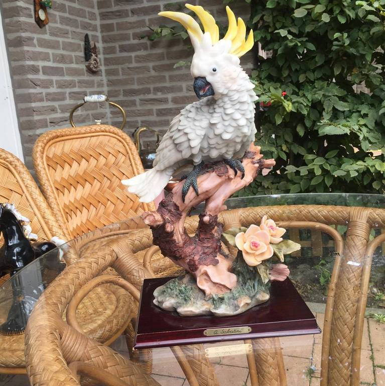 a sabatini, keramiek, Parot kopen? Bied vanaf 50!