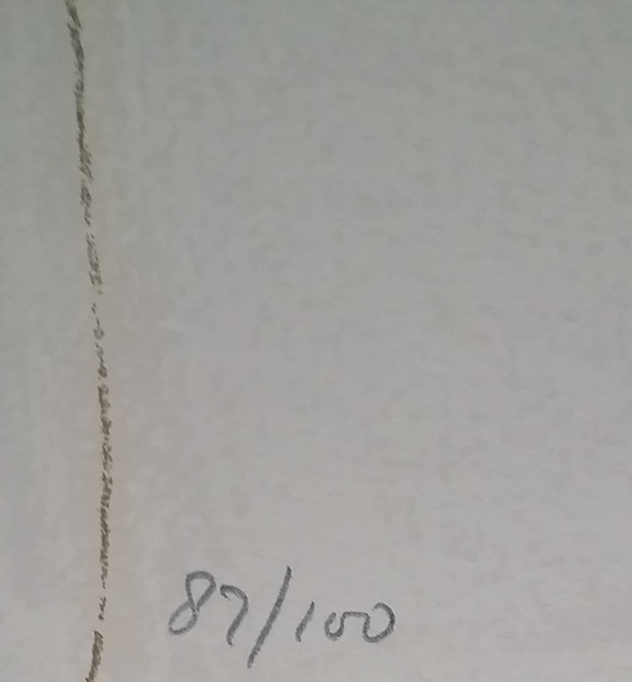 Frank Lodeizen - Gesigneerde Litho uit 1977 kopen? Bied vanaf 1!