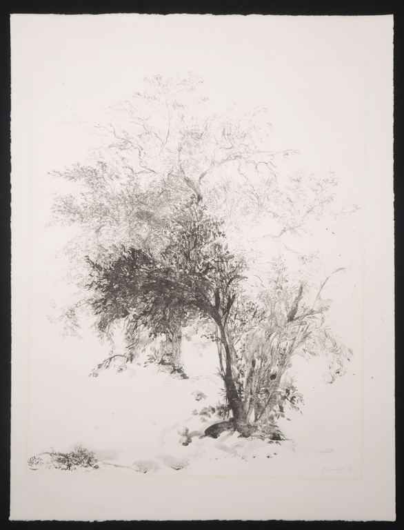 Jaap Kruijff: Litho, Zonder titel kopen? Bied vanaf 1!