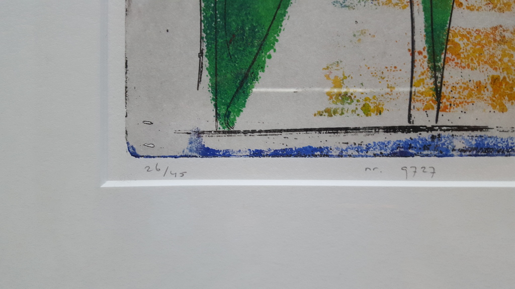 Lia van Leeuwen - kleurenets 34/40, handgesigneerd (ingelijst)  kopen? Bied vanaf 1!