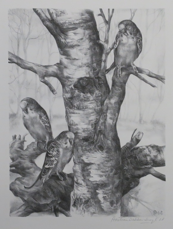 Aart van Dobbenburgh: Litho, Parkieten kopen? Bied vanaf 1!