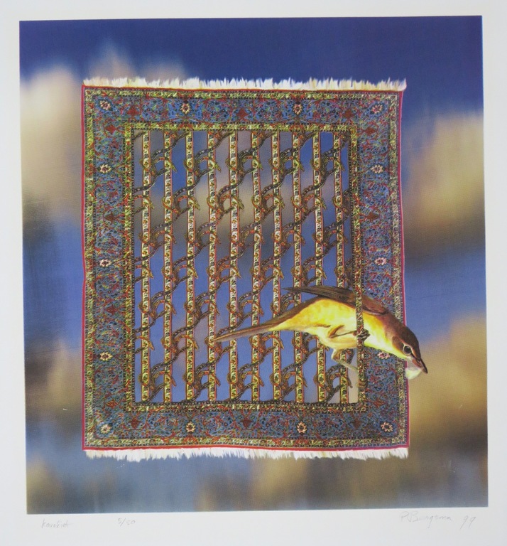 Patrick Bergsma: Zeefdruk, Karekiet kopen? Bied vanaf 1!