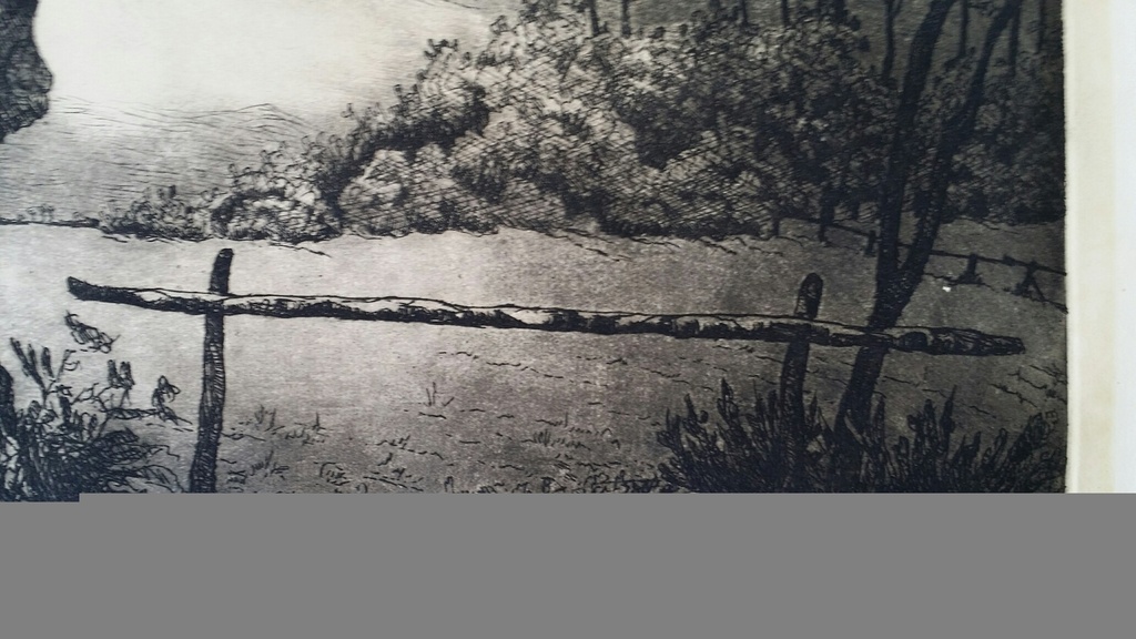 Ets, knotwilg, Chris van der Woerd, gesigneerd kopen? Bied vanaf 1!