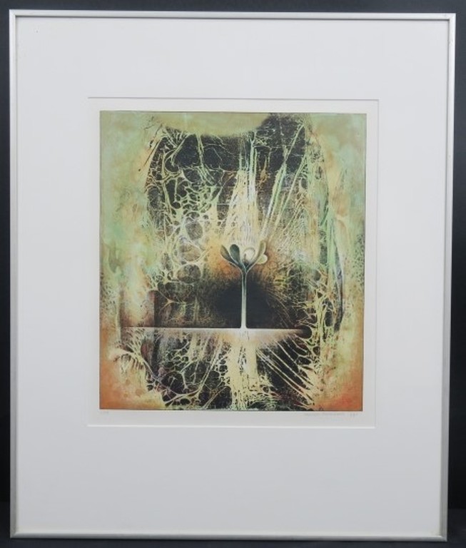 Jurjen Ravenhorst: Litho, Bloem - Ingelijst kopen? Bied vanaf 20!