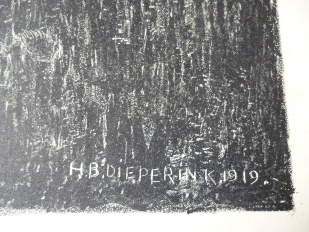 H.B.Dieperink - kleurenlitho - Wilgenkatjes kopen? Bied vanaf 20!