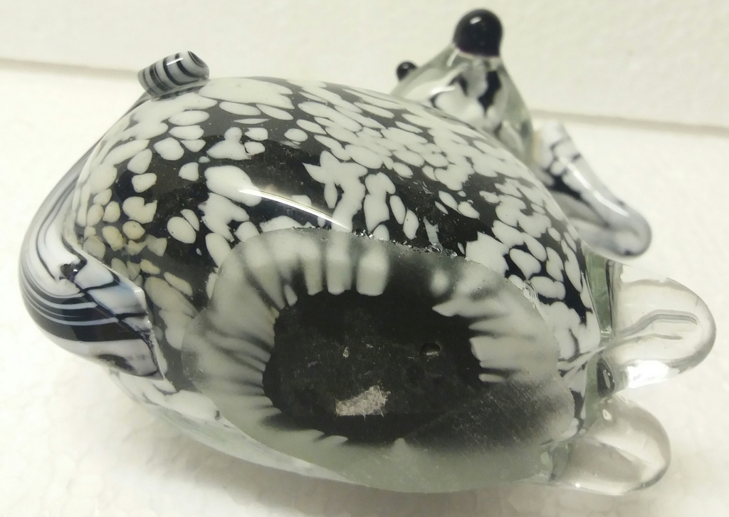 Groot murano dalmatier pup  kopen? Bied vanaf 1!