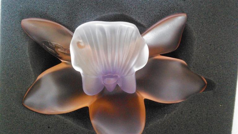 Cristallerie Royal de Champagne:Orchidee Aurore kopen? Bied vanaf 65!