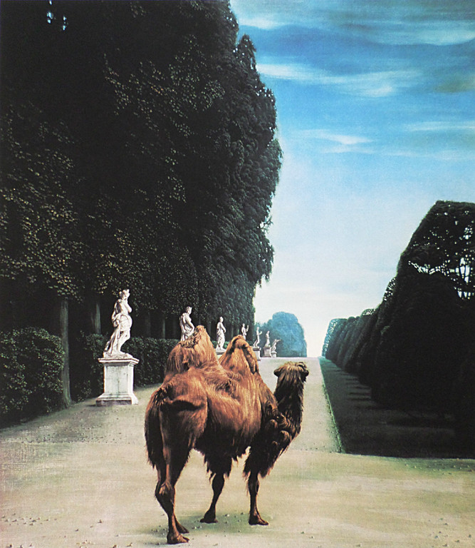 Carel Willink - Kameel in het park van Versailles, digitale kleurenprint verkocht voor € 90!