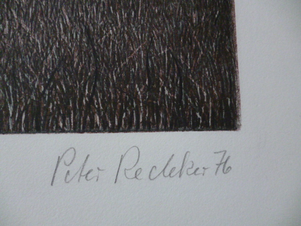 Peter Redeker - kleurenets - Waldrand kopen? Bied vanaf 40!