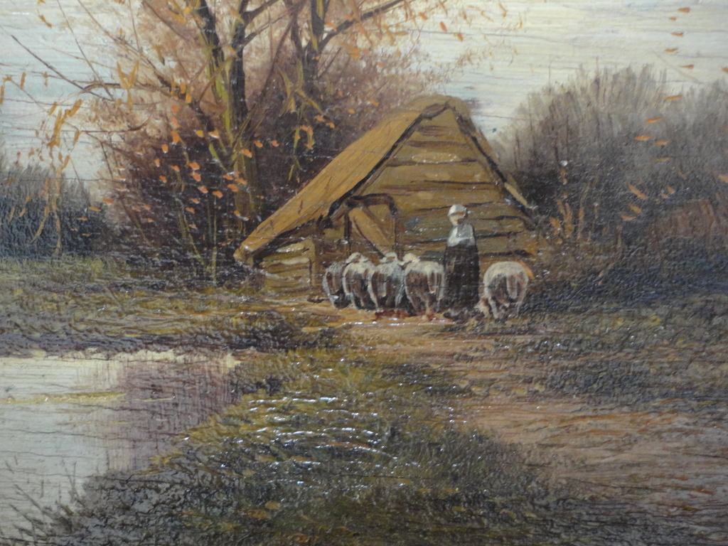 schapenkooi kopen? Bied vanaf 25!