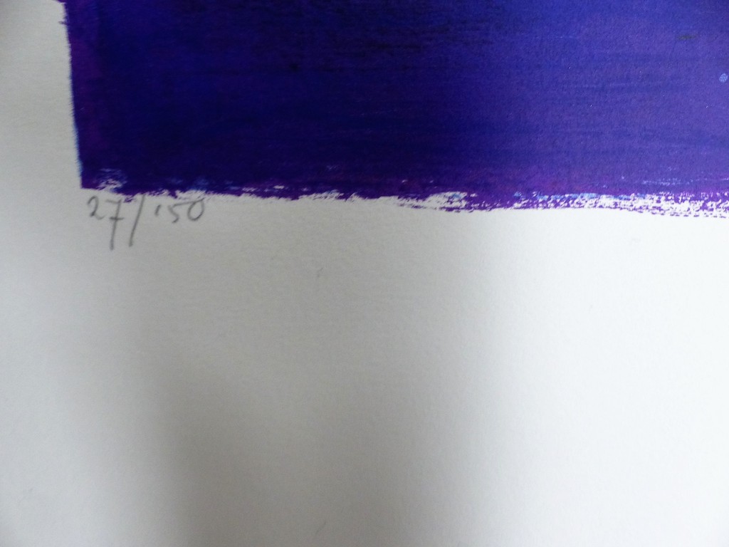 Ron v/d Werf,Zeefdruk op papier met zwelinkt, Mysterie2,Handgesigneerd kopen? Bied vanaf 50!