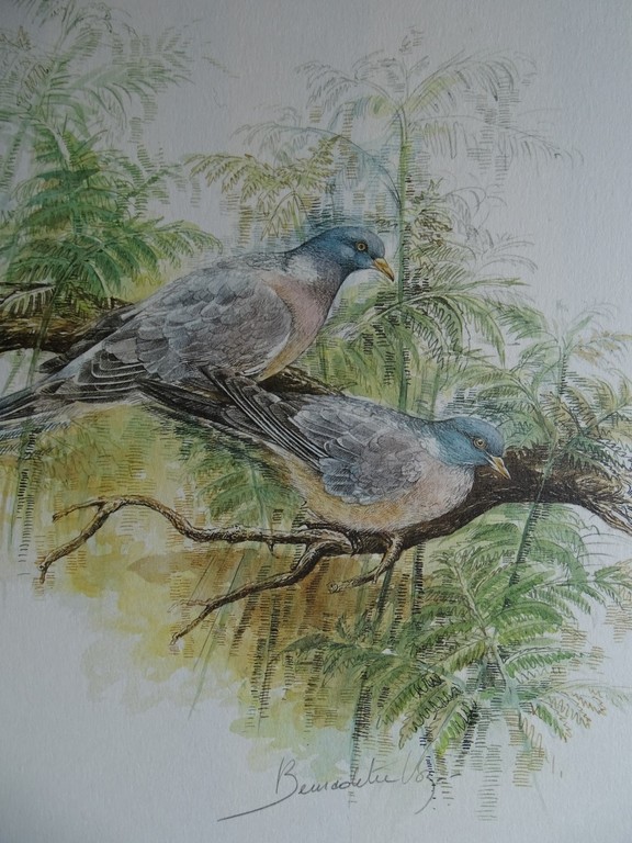 Bernadette Vos, kleurenlitho, Houtduiven kopen? Bied vanaf 1!