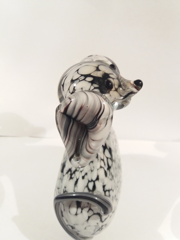 Groot murano dalmatier pup  kopen? Bied vanaf 1!