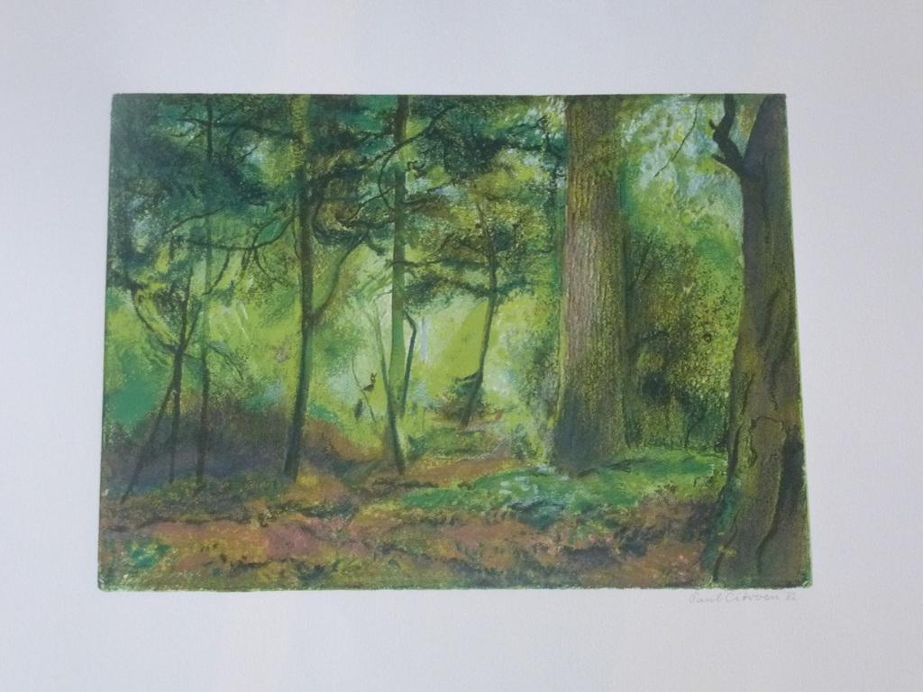 Paul Citroen, kleurenlitho, boslandschap, 1982, handgesign. kopen? Bied vanaf 150!