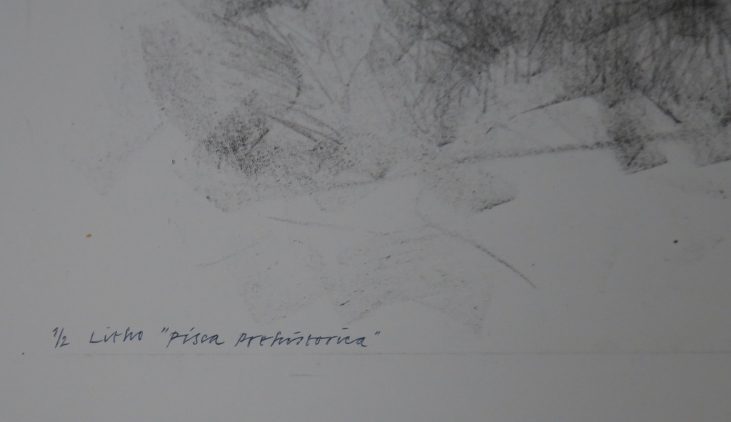 Taco Meeusen: Litho, Pisca Prehistorica  kopen? Bied vanaf 1!