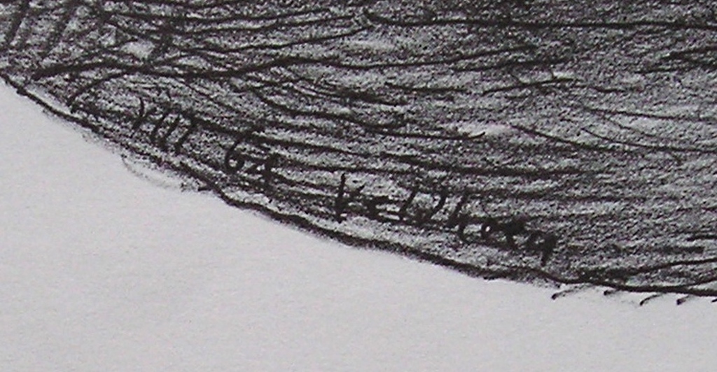 Aat Veldhoen rotaprint Liefdespaar kopen? Bied vanaf 25!