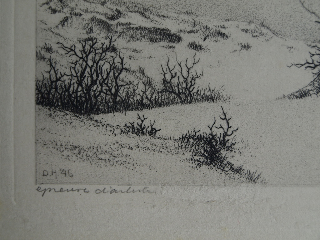 Dirk Harting (1884-1970) : Ets – Heesterplant – gesigneerd – 1946 kopen? Bied vanaf 1!