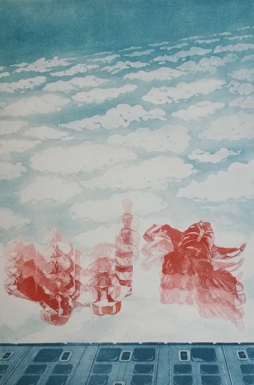 laatste maal aangeboden - Leentje Linders - Flying above the Clouds - kleurenets kopen? Bied vanaf 35!