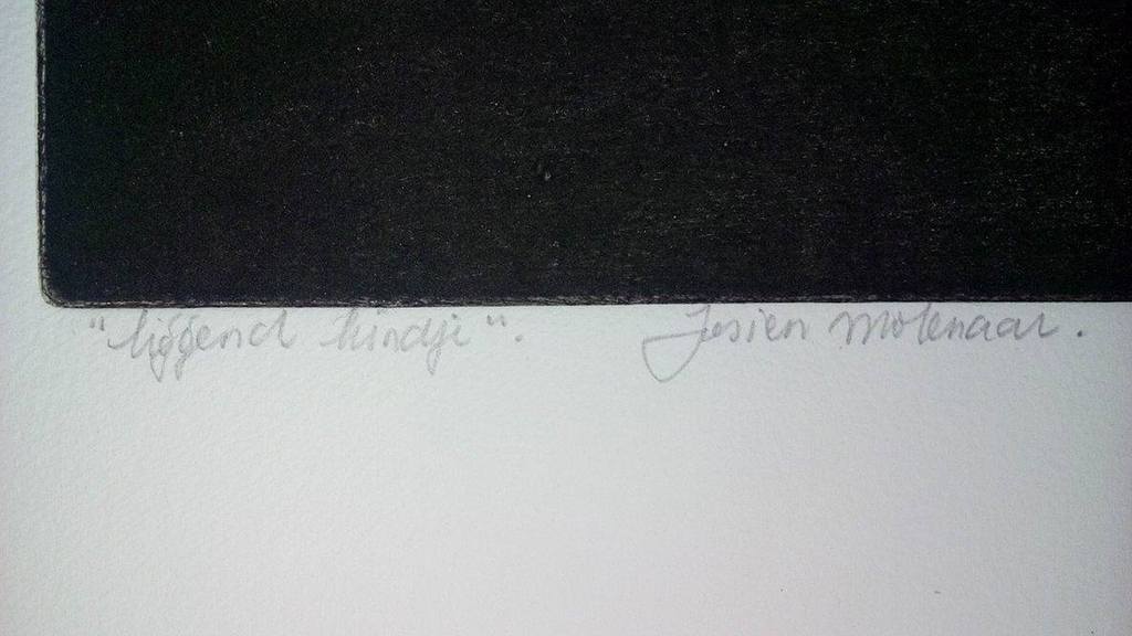 Josien Molenaar: gesigneerde ets op geschept papier - eigen druk vd kunstenaar kopen? Bied vanaf 1!