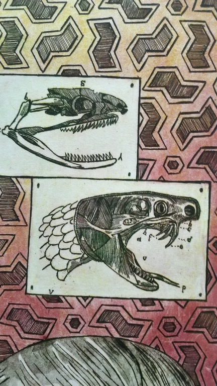 Annemarie Petri - laatste maal aangeboden - Annemarie Petri - Interieur van een ofioloog  kopen? Bied vanaf 10!