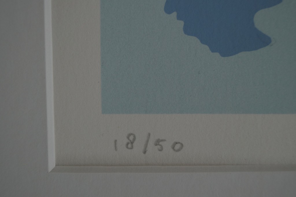 Roel Jonges - gesigneerde zeefdruk - 50 ex. kopen? Bied vanaf 40!