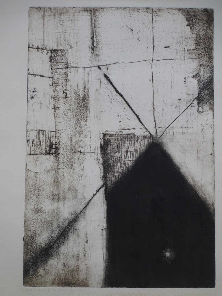 Guillaume le Roy, Abstracte woonvormen, Ets kopen? Bied vanaf 40!