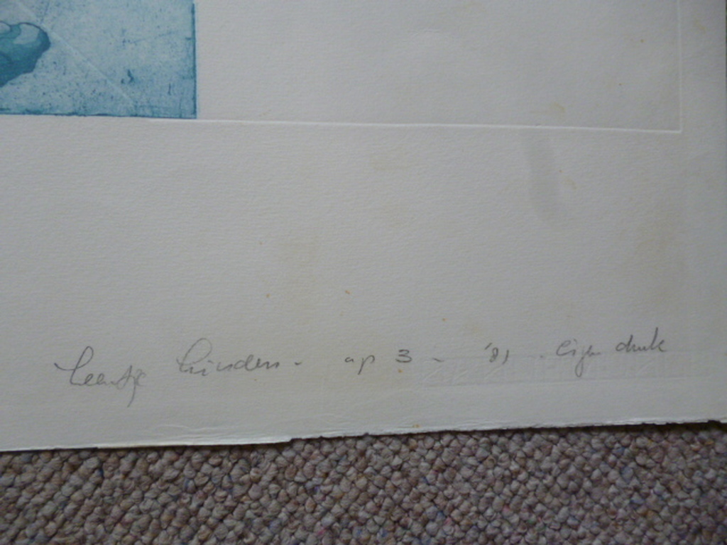 Leentje Linders - kleurenets - Hit that ball kopen? Bied vanaf 45!