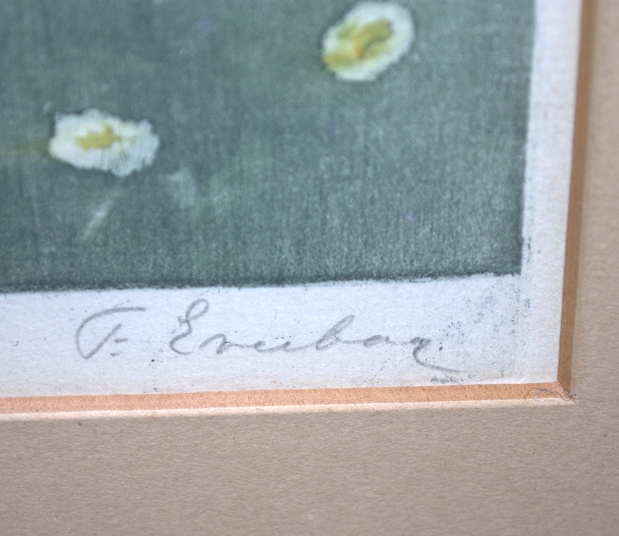 2 GEITJES - GROTE KLEURENETS UIT 1939 - EPREUVE D'ARTISTE kopen? Bied vanaf 159!