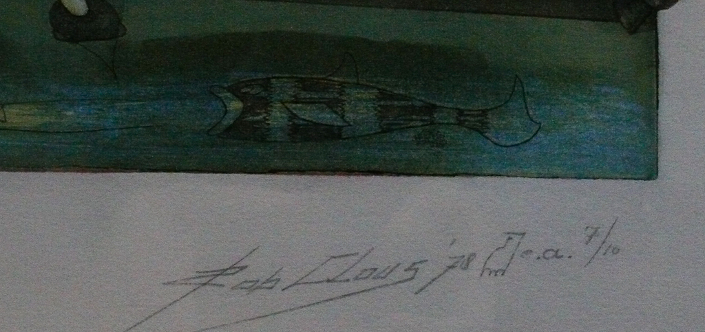 Rob Clous: kleurenets, Boer Blauw te Heerhugowaard kopen? Bied vanaf 85!