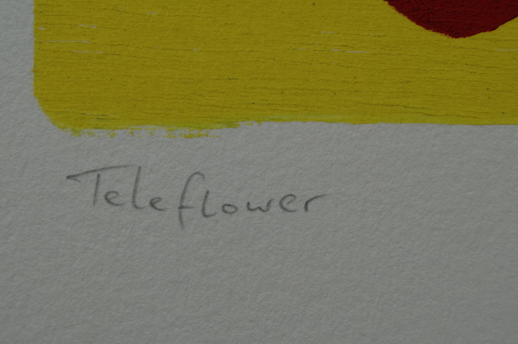 Ben Overdevest - gesigneerde zeefdruk - 1997 kopen? Bied vanaf 1!