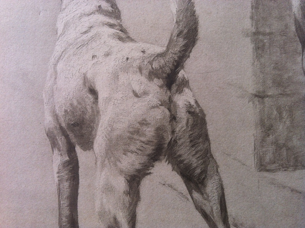 Maud Earl: Ets, A Masked Fox kopen? Bied vanaf 100!