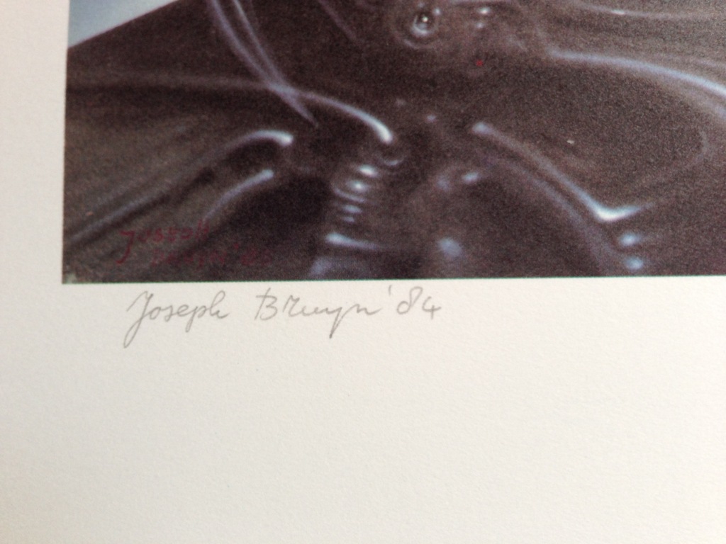 MOOIE LITHO VAN JOSEPH BRUYN kopen? Bied vanaf 1!