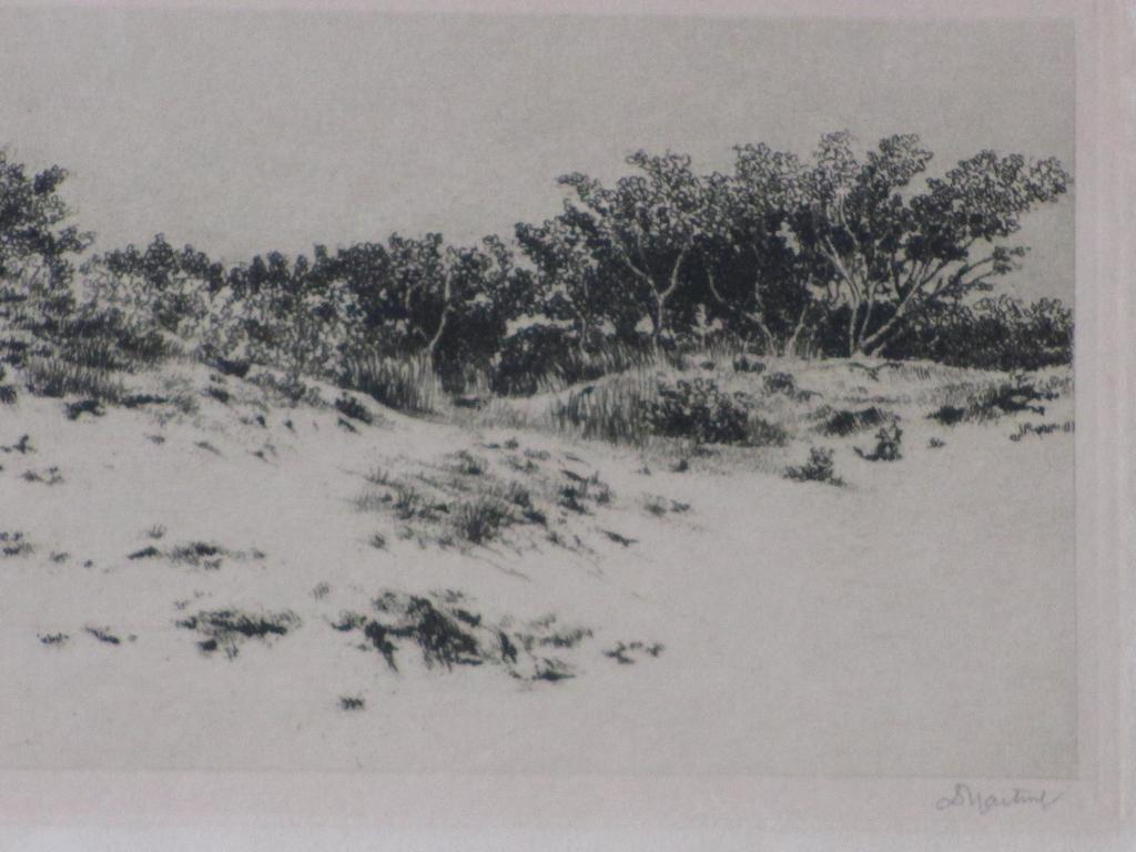 Dirk Harting, Duingezicht, Ets  kopen? Bied vanaf 25!