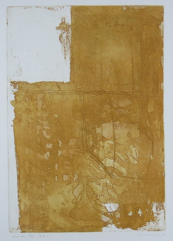 Lute Palsenberg: Kleurenets, Zonder titel kopen? Bied vanaf 1!