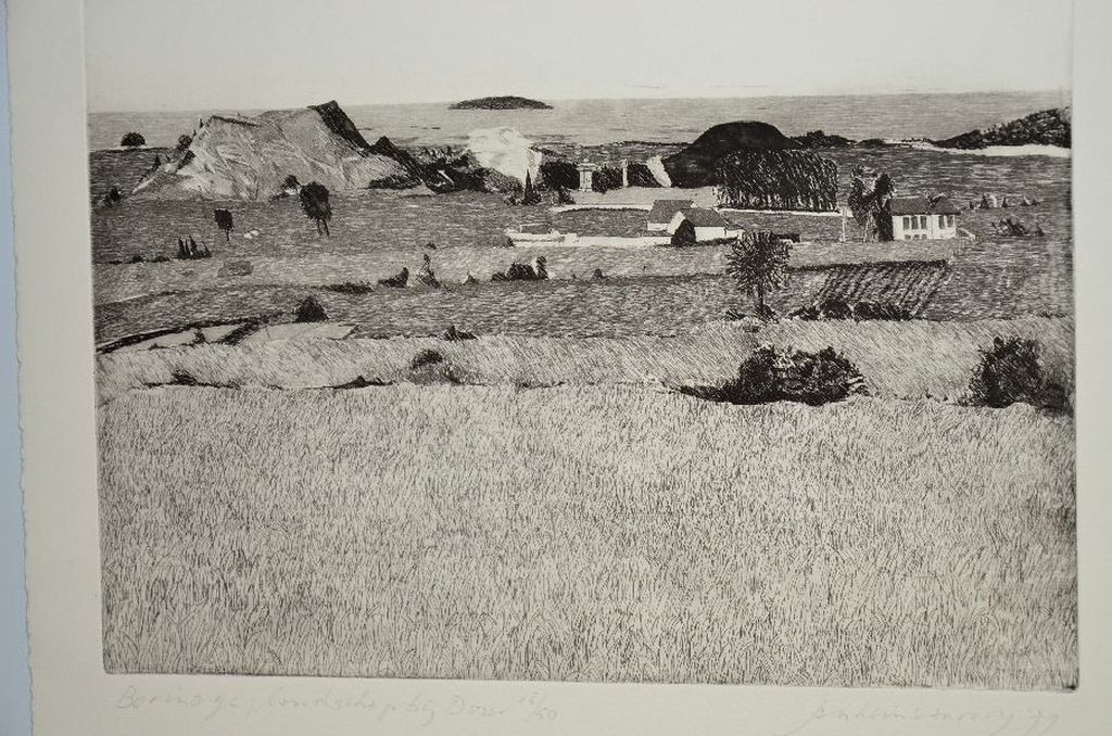 Jan Hein van Rooy: Ets. Borinage: Landschap bij Dour verkocht voor € 35!