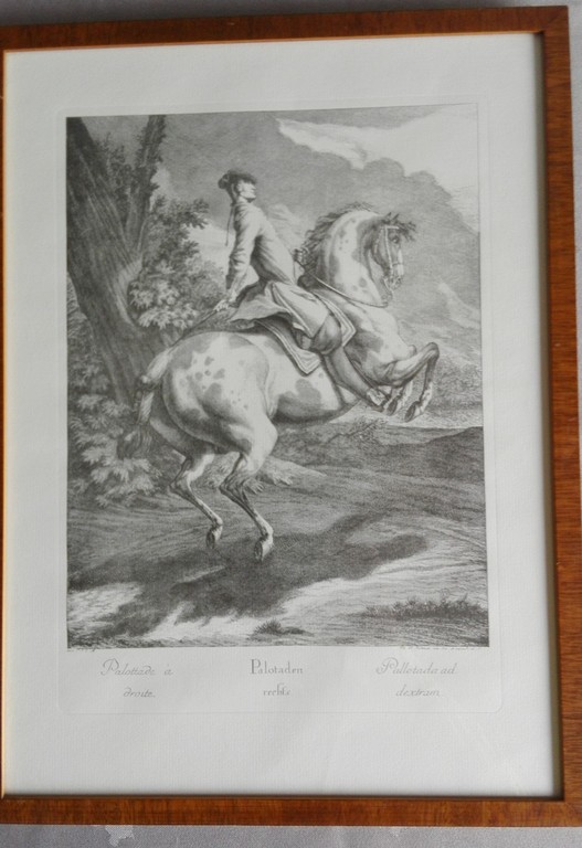 Johann Elias Ridinger: Kopergravure, 2 x Paardensport kopen? Bied vanaf 1!
