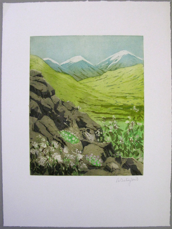 Willy Belinfante - MONTAGNE - kleurets kopen? Bied vanaf 1!