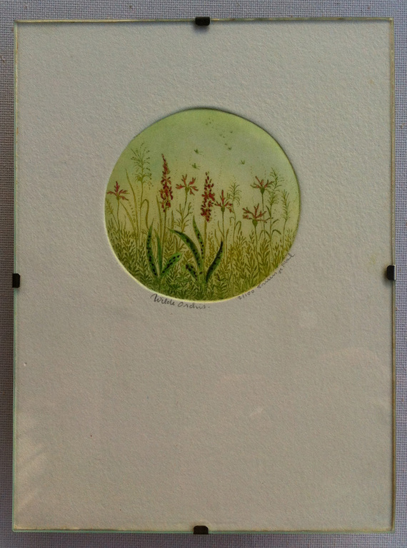 Truusje Mul; Kleuren ets, Wilde Orchidee kopen? Bied vanaf 10!