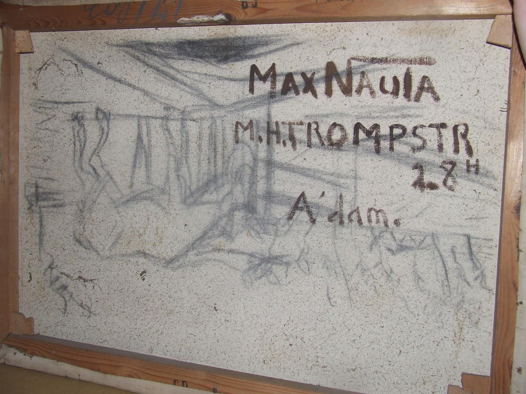 Max Nauta 2 paarden kopen? Bied vanaf 175!