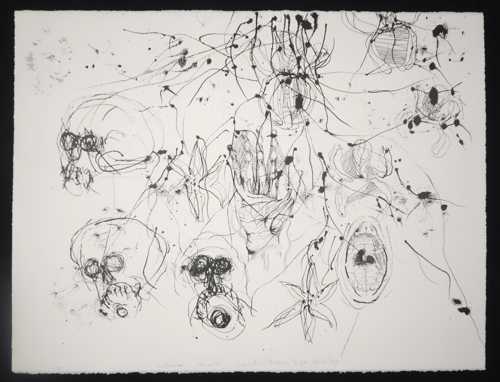 Marc Mulders, Reinoud van Vught & Paul van Dongen: Litho, Anatomie IV kopen? Bied vanaf 120!