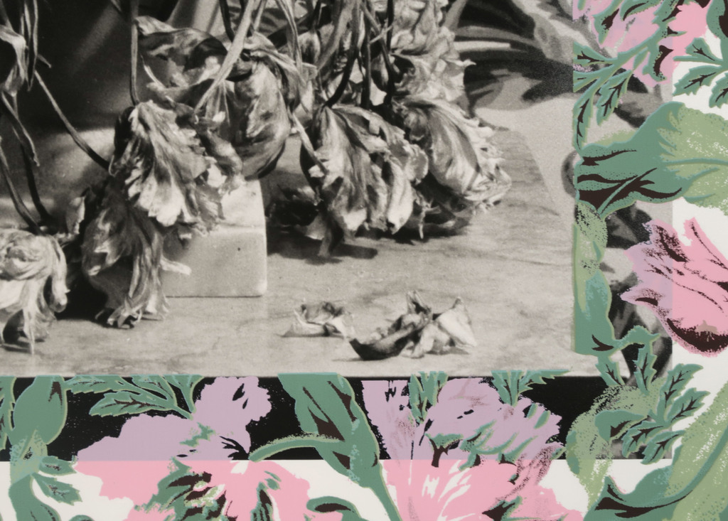 Geer Pouls: Foto, Parrot Tulpen kopen? Bied vanaf 20!