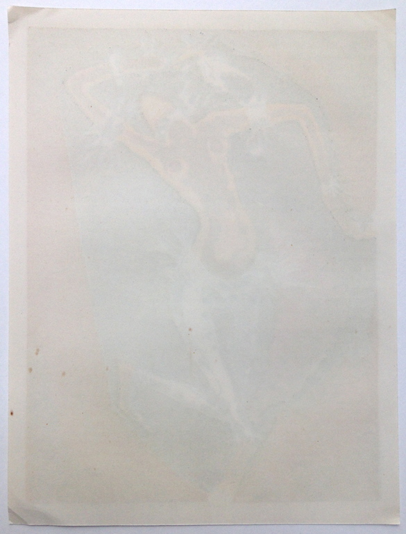 Kees van Dongen, Originele houtgravure uit 1955 kopen? Bied vanaf 95!