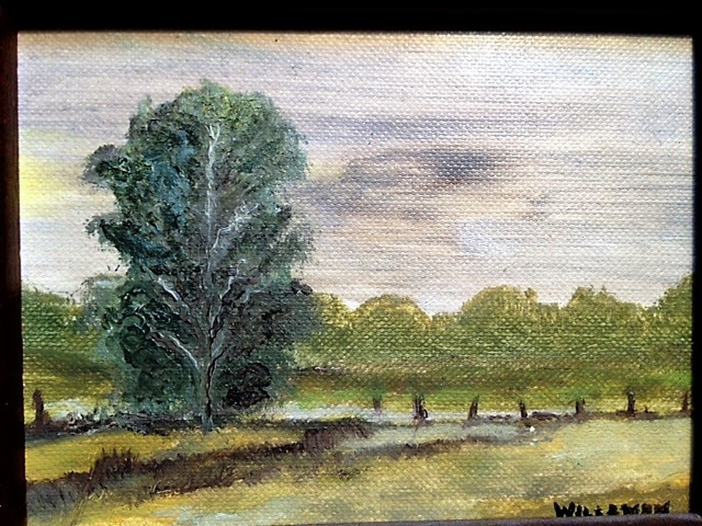 A. Willemen, acrylverf op paneel, twee landschappen kopen? Bied vanaf 1!