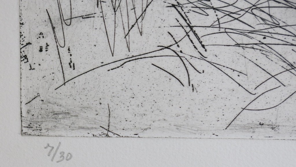 Anton Buytendijk: Ets, Zomer kopen? Bied vanaf 1!