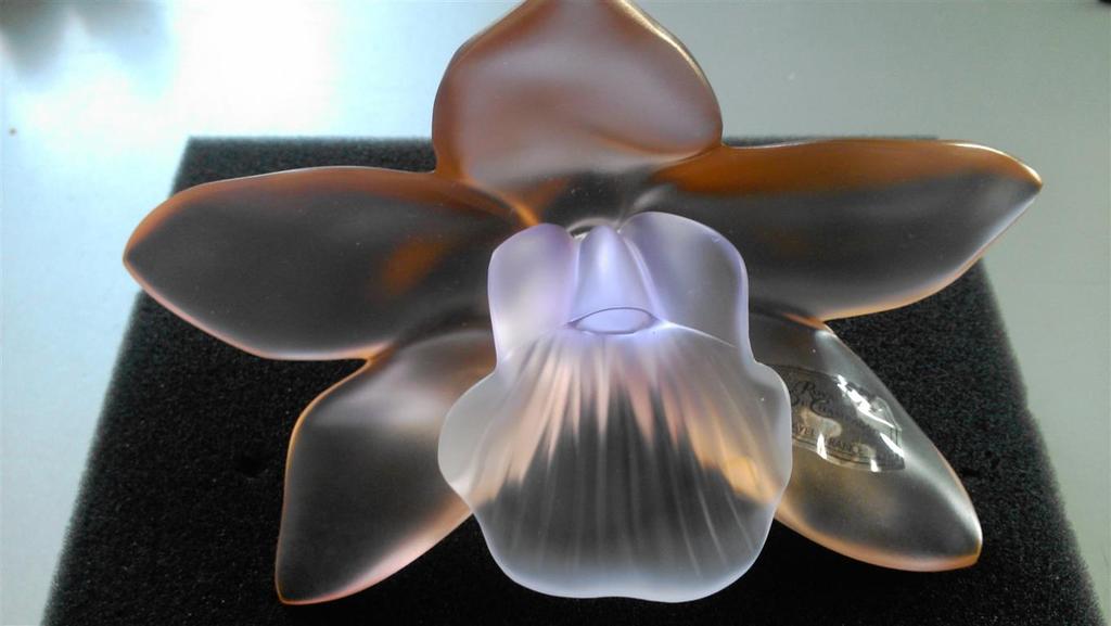 Cristallerie Royal de Champagne:Orchidee Aurore kopen? Bied vanaf 65!